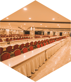 Spectra - Dinnin Area